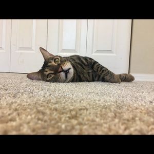 Meet your Posher, Keri